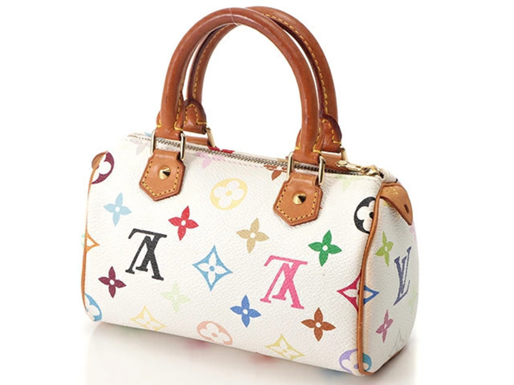 Louis Vuitton Multicolor Speedy Black